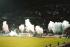 18-OM-METZ 01